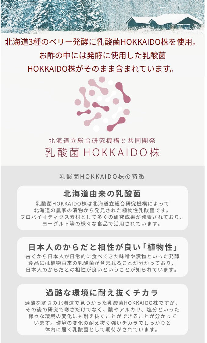 ラバティー 飲むきれいde酢 乳酸菌発酵北海道産3種のベリー