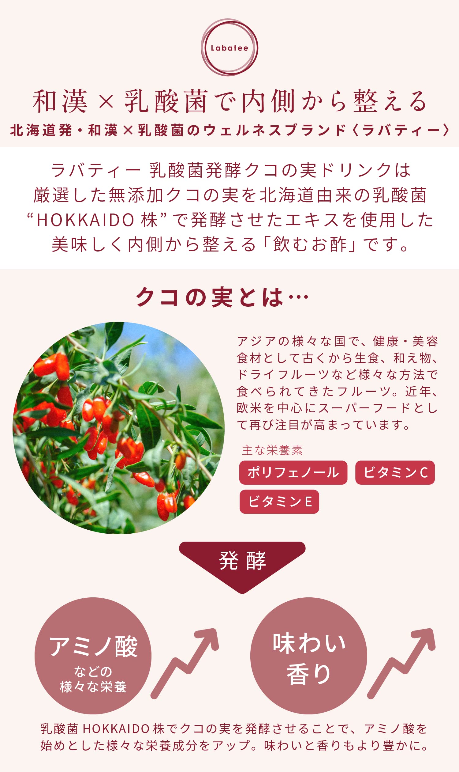 乳酸菌発酵クコの実ビネガードリンク