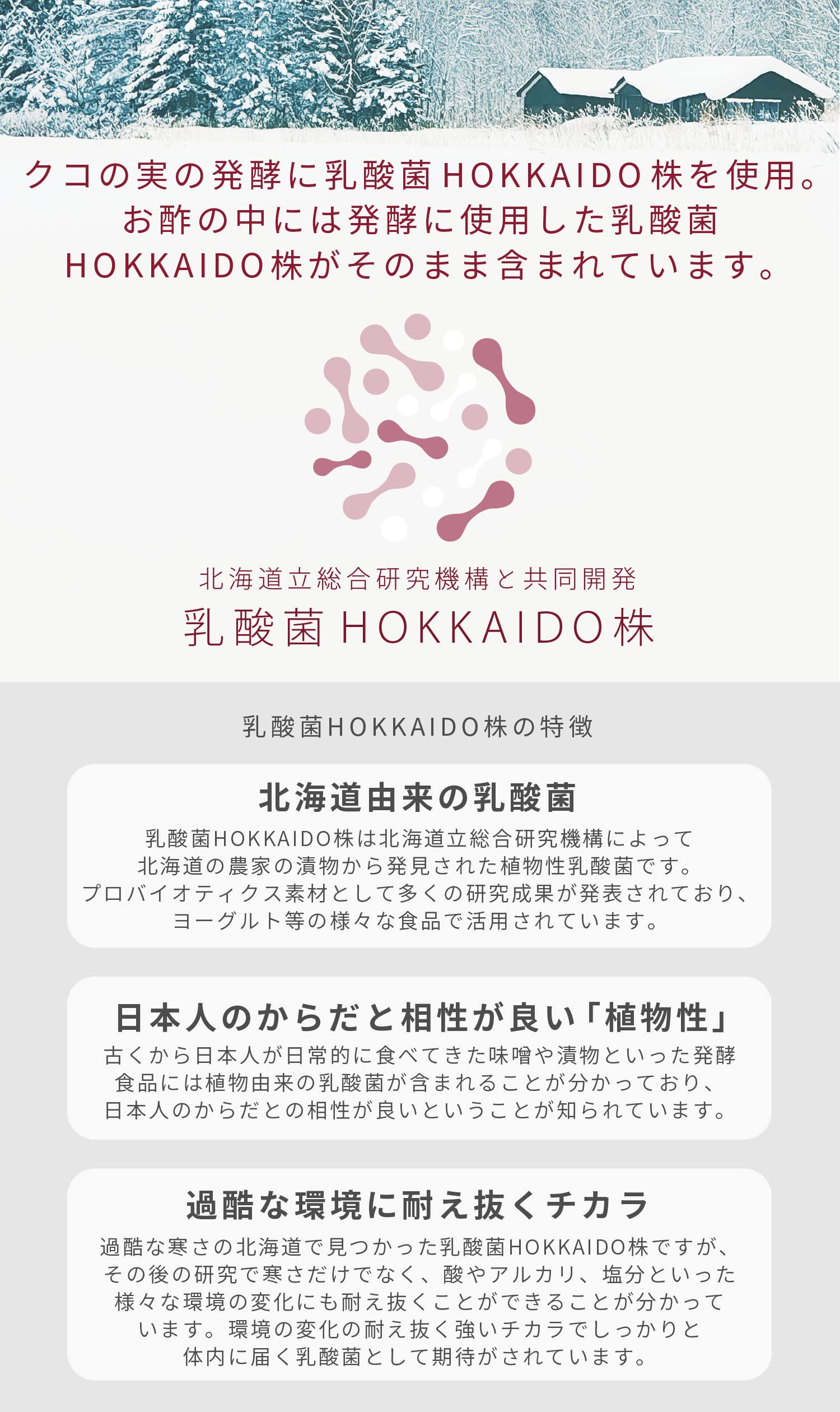乳酸菌発酵クコの実ビネガードリンク