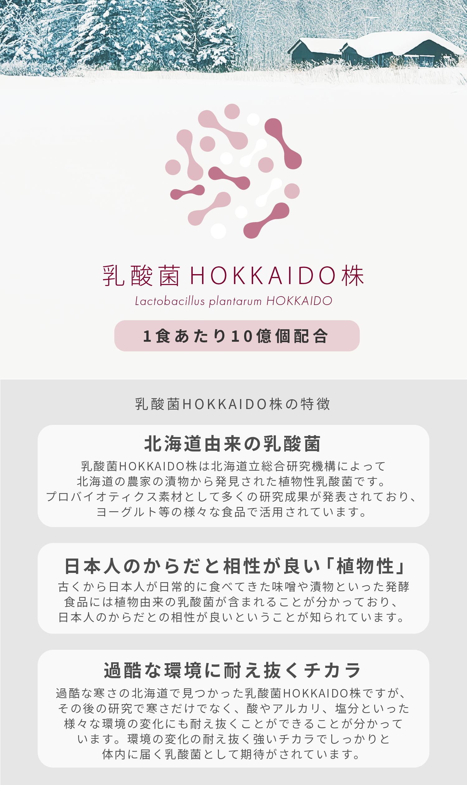 食べる和漢ほうじ茶ラテ with 乳酸菌HOKKAIDO株 ナツメ・クコの実・ハトムギ