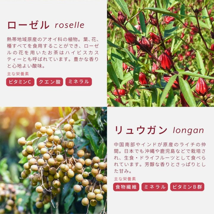 Labatee 北海道食べる和漢茶 6種アソートセット乳酸菌入 健康茶 薬膳茶 漢方茶 和漢茶 ギフト  無添加 ホットアイス可 ギフト プレゼント 乳酸菌 HOKKAIDO 日々変化するからだのコンディションや季節に合わせて自由に選べる 1袋 × 6種類