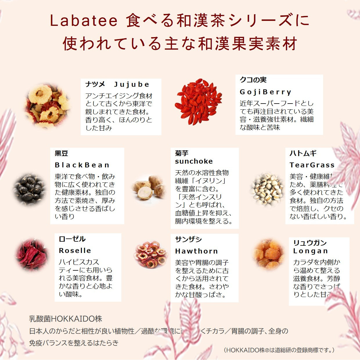 Labatee 温活×菌活 食べる和漢茶 植物性乳酸菌配合 黒糖×整い和漢 乳酸菌入 健康茶 薬膳茶 和漢茶 温活 腸活 整い ギフト 無添加 ホットアイス可 お中元 敬老の日 暑中見舞い