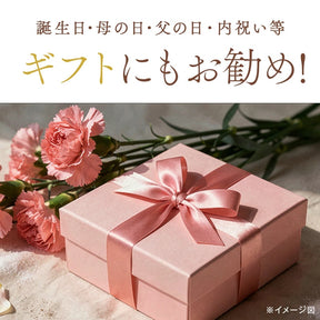 乳酸菌発酵クコの実ビネガードリンク
