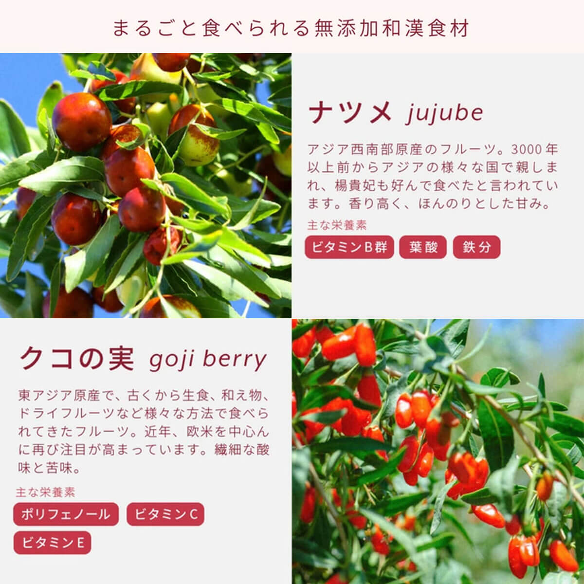 北海道食べる和漢茶　黒糖×整い和漢