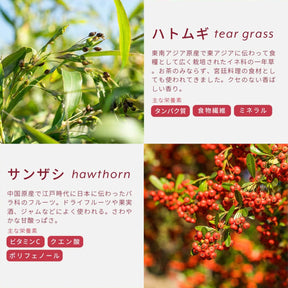 北海道食べる和漢茶　黒糖×整い和漢